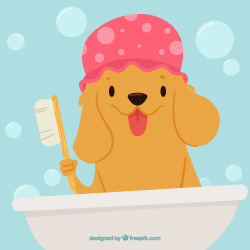 Hora del baño