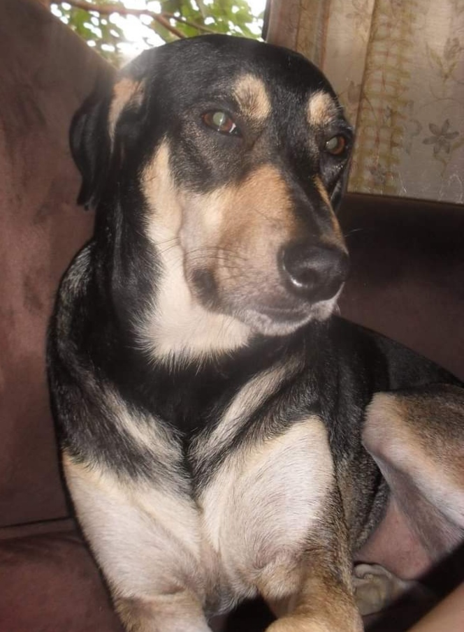 Negrita Cocuñame