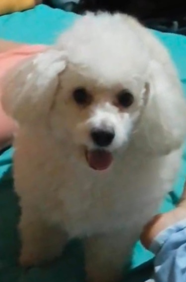 Kimmy